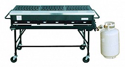 2x5 Gas Grill