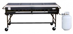 2x6 Gas Grill