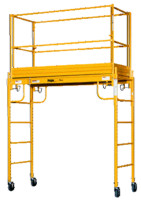 Multi-Purpose Scaffold